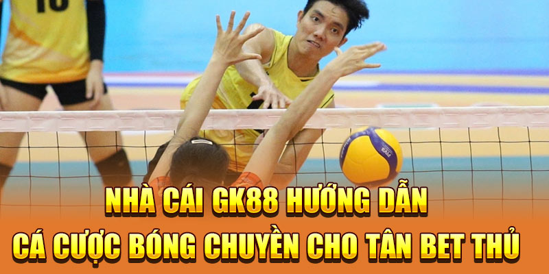 Nhà Cái GK88 Hướng Dẫn Cá Cược Bóng Chuyền Cho Tân Bet Thủ