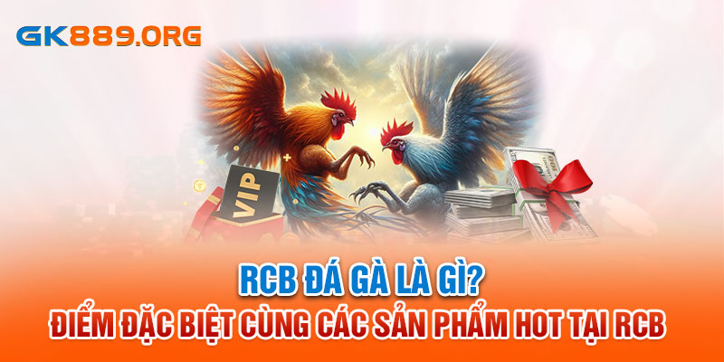 RCB Đá Gà Là Gì? Điểm Đặc Biệt Cùng Các Sản Phẩm Hot Tại RCB