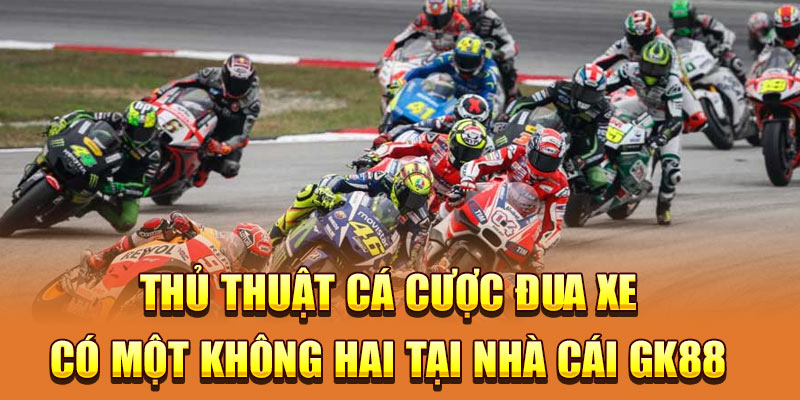 Thủ thuật cá cược đua xe tìm hiểu thời tiết