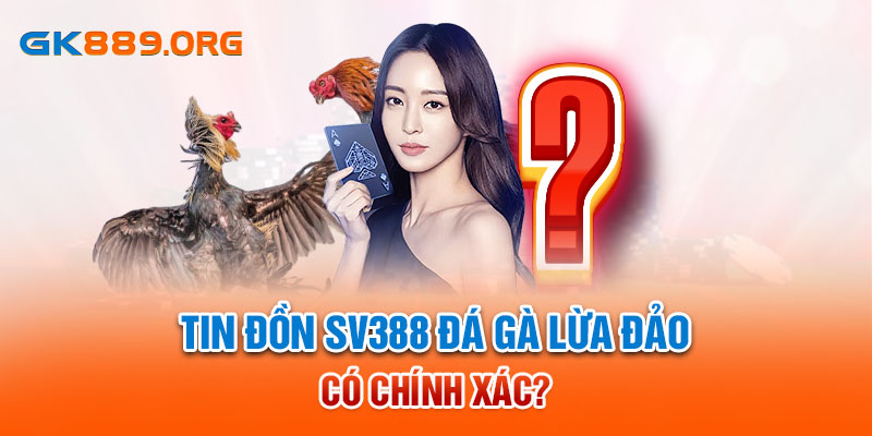 Tin đồn SV388 đá gà lừa đảo có chính xác 