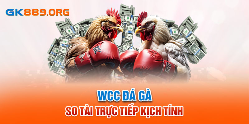 WCC đá gà so tài trực tiếp kịch tính